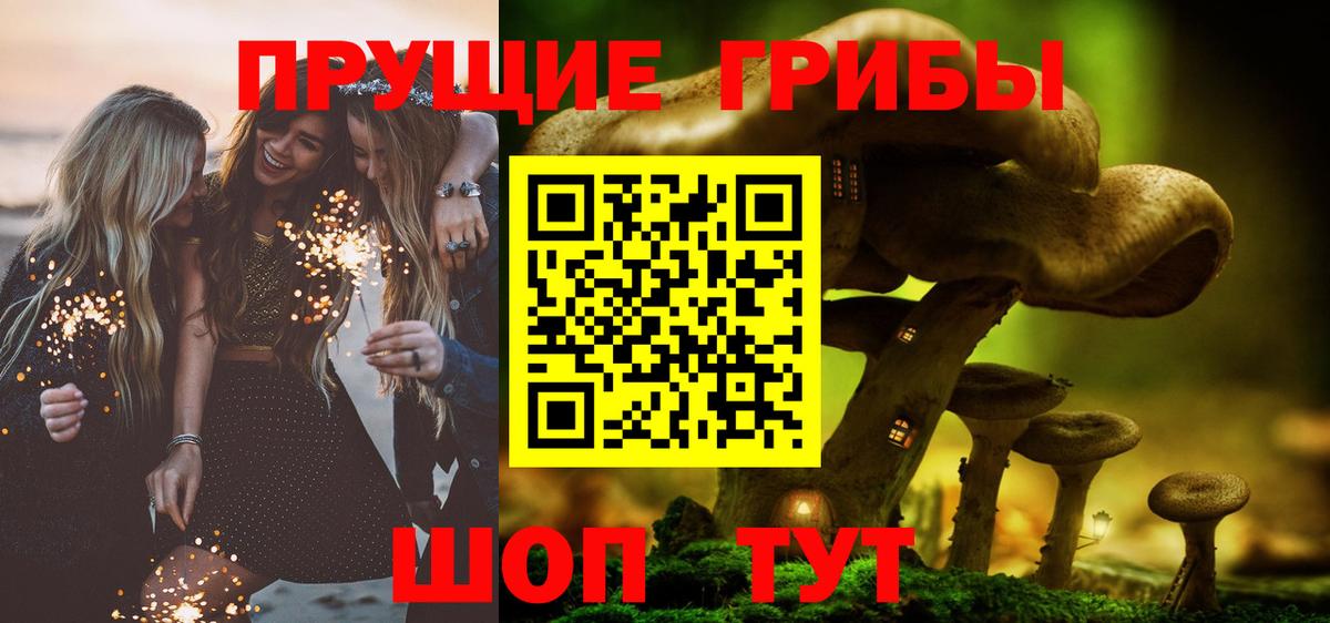 Псилоцибиновые грибы мухоморы Улан-Удэ