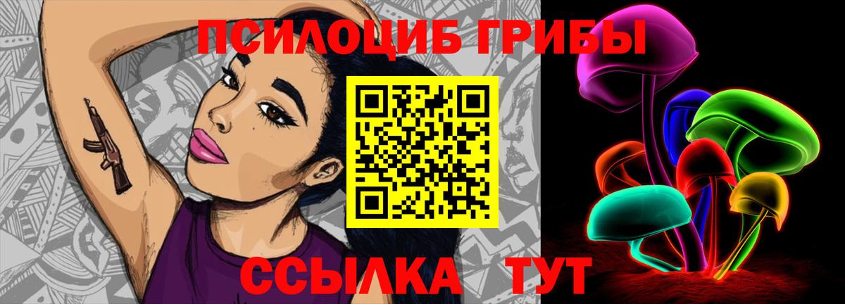 Улан-Удэ  Псилоцибиновые грибы прущие грибы  Вход с VPN 